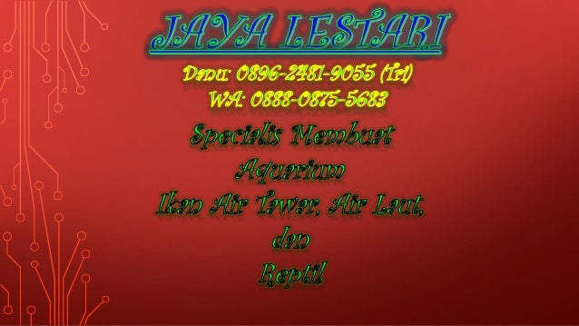 06 2481 9055 Harga Aquarium Aquascape Di Bekasi Harga Aquarium