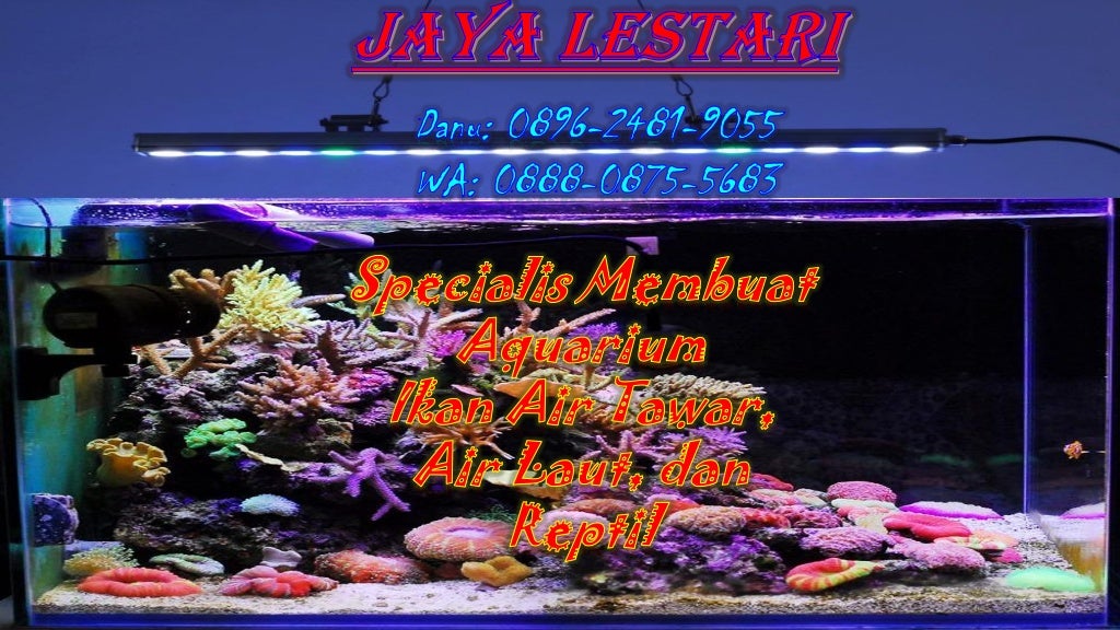 0896 2481 9055 Harga Aquarium Aquascape Jakarta Timur 