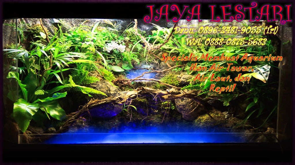 0896 2481 9055 Harga Aquarium Aquascape Jakarta Timur 0896 2481 9055 Harga Aquarium Aquascape Jakarta Timur