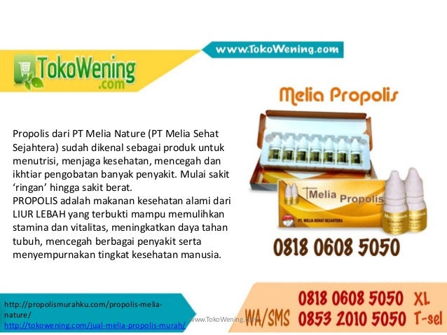Kiat Sukses Di Pt Melia Nature Indonesia Propolis Medan Kiat Sukses Di Pt Melia Nature Indonesia Propolis Medan
