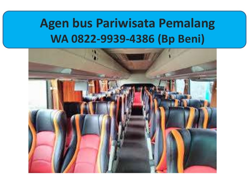 harga mobil bus pariwisata