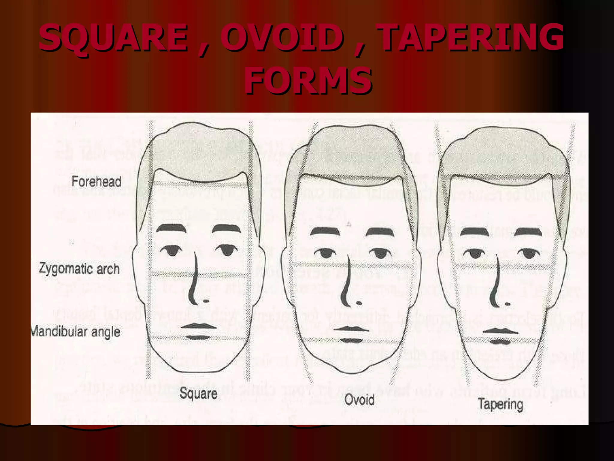 SQUARE , OVOID , TAPERING  FORMS 