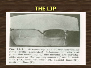 THE LIP 