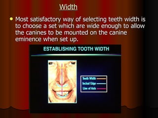 Width Most satisfactory way of selecting teeth width is to choose a set which are wide enough to allow the canines to be mounted on the canine eminence when set up. 