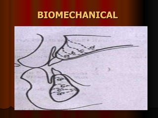 BIOMECHANICAL   