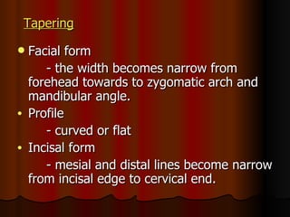 Tapering   Facial form  - the width becomes narrow from forehead towards to zygomatic arch and mandibular angle. Profile - curved or flat Incisal form - mesial and distal lines become narrow from incisal edge to cervical end. 