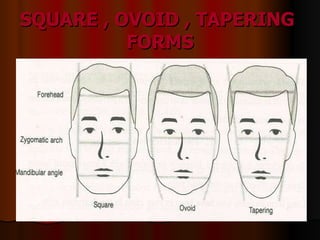 SQUARE , OVOID , TAPERING  FORMS 