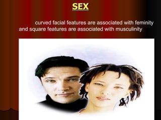 SEX curved facial features are associated with feminity and square features are associated with musculinity 