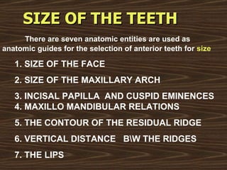   SIZE OF THE TEETH   There are seven anatomic entities are used as anatomic guides for the selection of anterior teeth for   size 1.   SIZE OF THE FACE 2. SIZE OF THE MAXILLARY ARCH 3. INCISAL PAPILLA  AND CUSPID EMINENCES    4. MAXILLO MANDIBULAR RELATIONS 5. THE CONTOUR OF THE RESIDUAL RIDGE 6. VERTICAL DISTANCE  B\W THE RIDGES 7. THE LIPS 