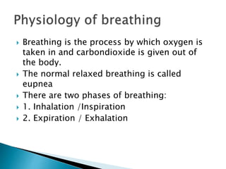 Periodic Breathing In Infants | Developmental respiratory physiology ...