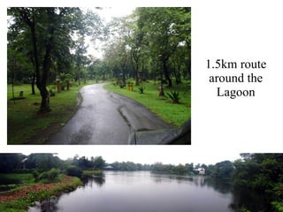 1.5km route around the Lagoon 