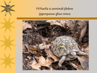 Fil-ħarifa xiannimalijibdew
jippreparaw għax-xitwa
 