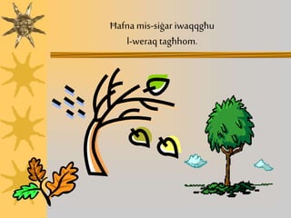 Ħafna mis-siġar iwaqqgħu
l-weraq tagħhom.
 