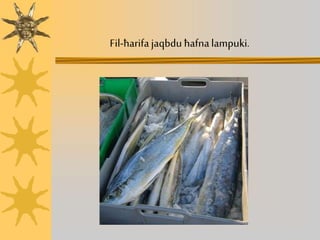 Fil-ħarifajaqbdu ħafnalampuki.
 