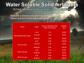  tissue culture hybridization