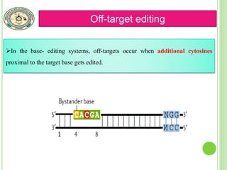 Target Editing Effect Base Editing in Crops: Current Advances, Limitations and Future ...