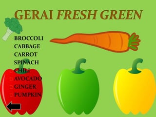 BROCCOLI 
CABBAGE 
CARROT 
SPINACH 
CHILI 
AVOCADO 
GINGER 
PUMPKIN 
 