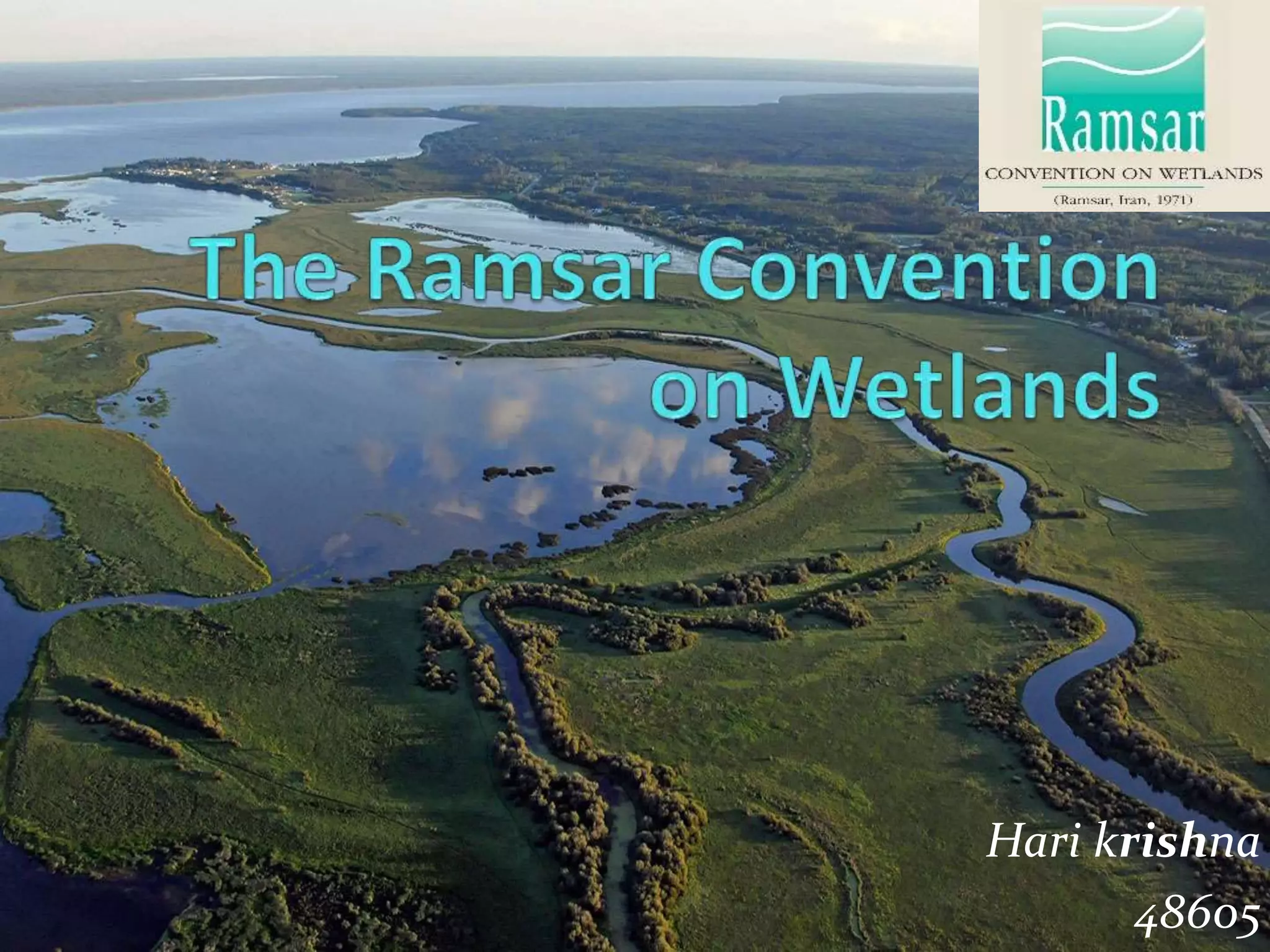 Ridem Wetlands Permit Search - 4m4ig6v