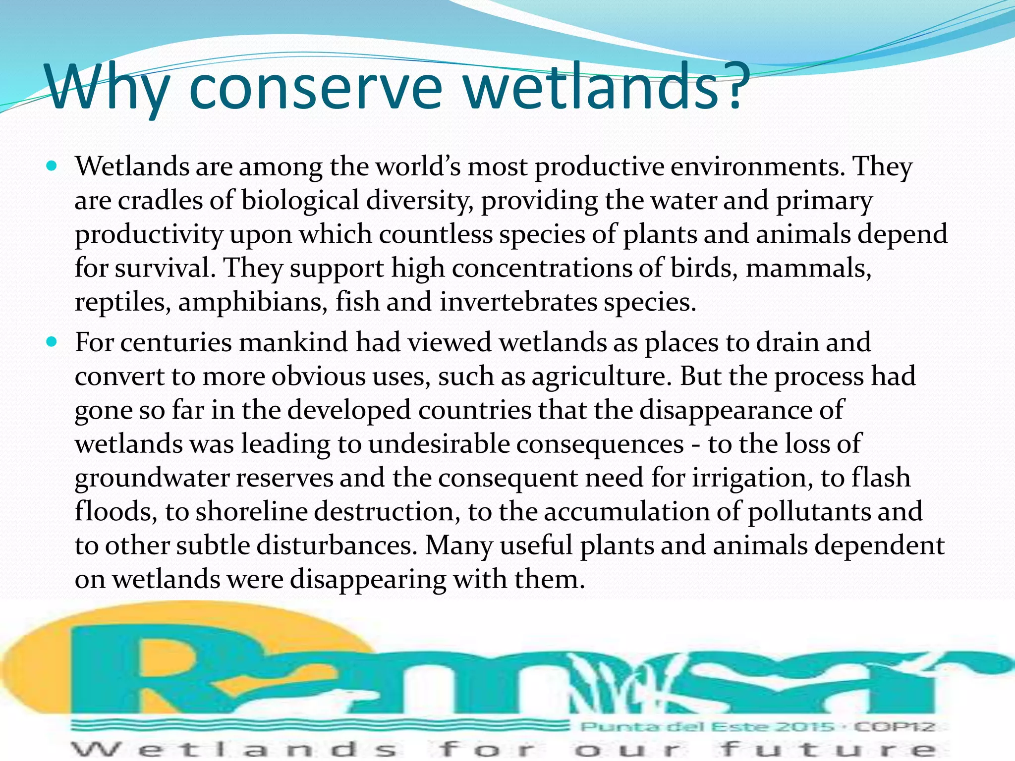 Ridem Wetlands Permit Search - 1mzghnl