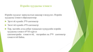 Нэрийн хуудсыг зориулалтын цаасаар хэвлүүлнэ. Нэрийн
хуудасны хэмжээ ойролцоогоор:
 Эрэгтэй хүнийх 5*9 сантиметр
 Эмэгтэй хүнийх 4*8 сантиметр
 Төр, засгийн дээд албан тушаалын хүмүүсийн нэрийн
хуудасны хэмжээ 6*10 хүртэл
сантиметрийн хэмжээтэй, эхнэрийнх нь 5*9 сантиметр
хэмжээтэй байна.
Нэрийн хуудасны хэмжээ
 