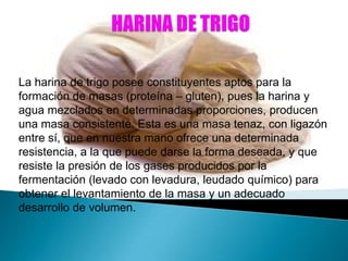 La harina de trigo posee constituyentes aptos para la
formación de masas (proteína – gluten), pues la harina y
agua mezclados en determinadas proporciones, producen
una masa consistente. Esta es una masa tenaz, con ligazón
entre sí, que en nuestra mano ofrece una determinada
resistencia, a la que puede darse la forma deseada, y que
resiste la presión de los gases producidos por la
fermentación (levado con levadura, leudado químico) para
obtener el levantamiento de la masa y un adecuado
desarrollo de volumen.
 