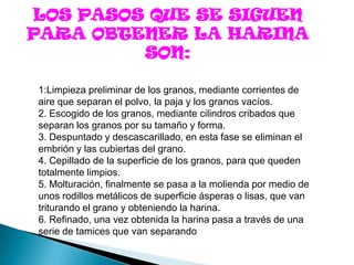 LOS PASOS QUE SE SIGUEN
PARA OBTENER LA HARINA
         SON:

1:Limpieza preliminar de los granos, mediante corrientes de
aire que separan el polvo, la paja y los granos vacíos.
2. Escogido de los granos, mediante cilindros cribados que
separan los granos por su tamaño y forma.
3. Despuntado y descascarillado, en esta fase se eliminan el
embrión y las cubiertas del grano.
4. Cepillado de la superficie de los granos, para que queden
totalmente limpios.
5. Molturación, finalmente se pasa a la molienda por medio de
unos rodillos metálicos de superficie ásperas o lisas, que van
triturando el grano y obteniendo la harina.
6. Refinado, una vez obtenida la harina pasa a través de una
serie de tamices que van separando
 