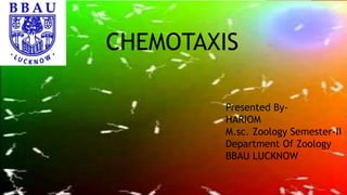 CHEMOTAXIS
Presented By-
HARIOM
M.sc. Zoology Semester-II
Department Of Zoology
BBAU LUCKNOW
 