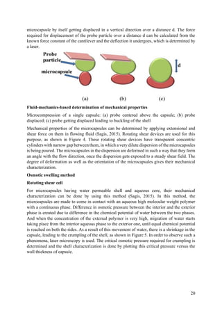 MICROENCAPSULATION PROJECT | PDF
