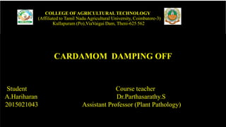 COLLEGE OF AGRICULTURAL TECHNOLOGY
(Affiliated to Tamil Nadu Agricultural University, Coimbatore-3)
Kullapuram (Po),ViaVaigai Dam, Theni-625 562
CARDAMOM DAMPING OFF
Student Course teacher
A.Hariharan Dr.Parthasarathy.S
2015021043 Assistant Professor (Plant Pathology)
 