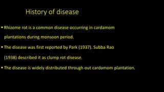 Cardamom-Damping off disease | PPTX