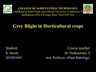 COLLEGE OF AGRICULTURAL TECHNOLOGY
(Affiliated to Tamil Nadu Agricultural University, Coimbatore-3)
Kullapuram (Po),ViaVaigai Dam, Theni-625 562
Grey Blight in Horticultural crops
Student Course teacher
K. Harish Dr. Parthasarathy. S
2015021045 Asst. Professor., (Plant Pathology)
 
