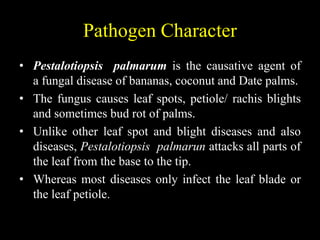 Grey Blight in Horticultural Crops | PPTX