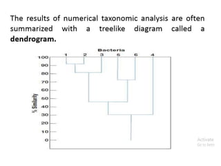 Harish_Bergeys Mannual & Numeric Taxonomy .ppt