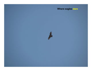 Where eagles dare
 
