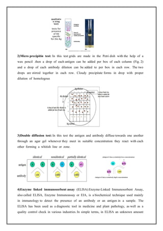 SEROLOGICAL METHODS FOR DETECTION OF PLANT PATHOGENS | PDF