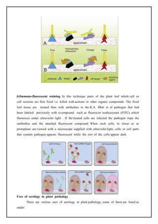 SEROLOGICAL METHODS FOR DETECTION OF PLANT PATHOGENS | PDF