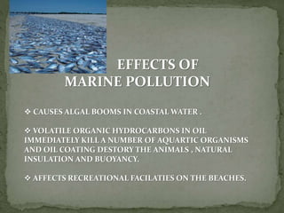 EFFECTS OF
MARINE POLLUTION
 CAUSES ALGAL BOOMS IN COASTAL WATER .
 VOLATILE ORGANIC HYDROCARBONS IN OIL
IMMEDIATELY KILL A NUMBER OF AQUARTIC ORGANISMS
AND OIL COATING DESTORY THE ANIMALS , NATURAL
INSULATION AND BUOYANCY.
 AFFECTS RECREATIONAL FACILATIES ON THE BEACHES.
 