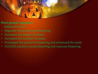 Plant growth regulators
Gibberellic Acid:-
• Regulate the growth and flowering
• Increases the length of shoots
• Increases the number of nodes
• Prolonged the period of flowering and enhanced the yield.
• CCC(3%) solution caused dwarfing and improve flowering.
 
