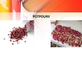 POTPOURII
 