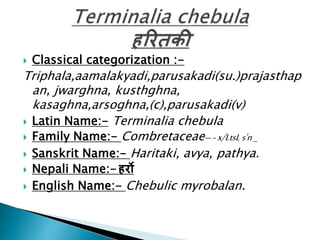 

Classical categorization :-

Triphala,aamalakyadi,parusakadi(su.)prajasthap
an, jwarghna, kusthghna,
kasaghna,arsoghna,(c),parusakadi(v)
 Latin Name:- Terminalia chebula
 Family Name:- Combretaceae– - x/LtsL s'n _
 Sanskrit Name:- Haritaki, avya, pathya.



Nepali Name:- हर्रो
English Name:- Chebulic myrobalan.

 