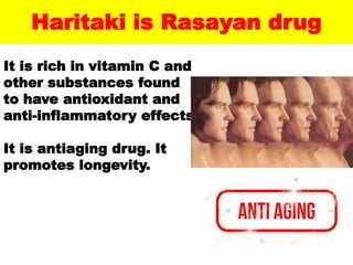 Haritaki is Rasayan drug
It is rich in vitamin C and
other substances found
to have antioxidant and
anti-inflammatory effects.
It is antiaging drug. It
promotes longevity.
 