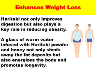 Enhances Weight Loss
Haritaki not only improves
digestion but also plays a
key role in reducing obesity.
A glass of warm water
infused with Haritaki powder
and honey not only sheds
away the fat deposits but
also energizes the body and
promotes longevity.
 