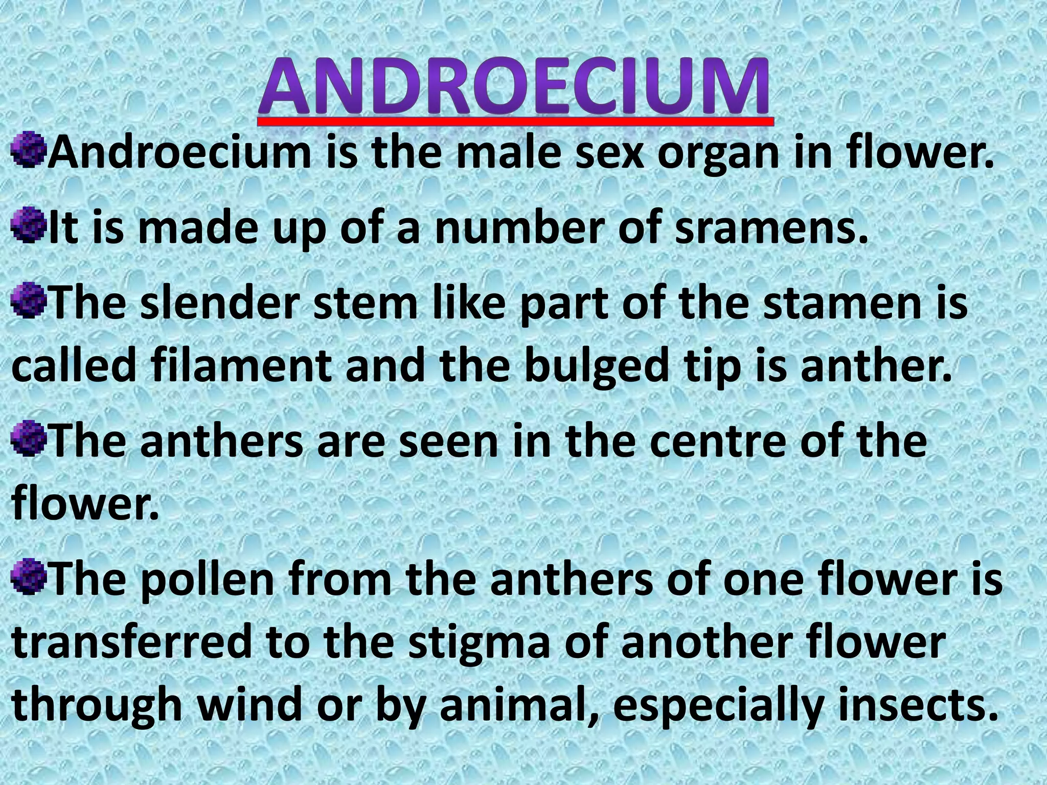Androecium is the male sex organ in flower.
It is made up of a number of sramens.
The slender stem like part of the stamen is
called filament and the bulged tip is anther.
The anthers are seen in the centre of the
flower.
The pollen from the anthers of one flower is
transferred to the stigma of another flower
through wind or by animal, especially insects.
 
