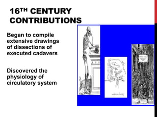 16TH CENTURY
CONTRIBUTIONS
Began to compile
extensive drawings
of dissections of
executed cadavers
Discovered the
physiolo...