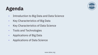 Difference Between Big Data and Data Science | IABAC | PDF