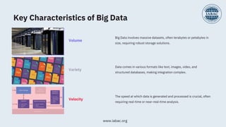Difference Between Big Data and Data Science | IABAC | PDF