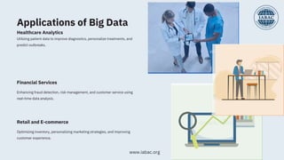 Difference Between Big Data and Data Science | IABAC | PDF