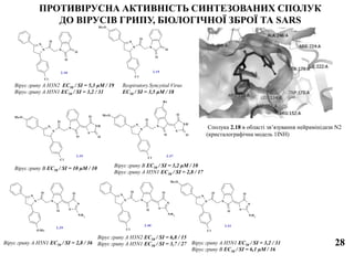 N
N
N
O
O
O
Cl
N
N
N
O
O
O
Cl
Me O
2.18 2.19
ПРОТИВІРУСНА АКТИВНІСТЬ СИНТЕЗОВАНИХ СПОЛУК
ДО ВІРУСІВ ГРИПУ, БІОЛОГІЧНОЇ ЗБРОЇ ТА SARS
28
N
N N
O
O
Cl
S
NH
O
OMe O
N
N N
O
O
Cl
S
NH
O
OMe O
Br
2.372.35
N
N
N
O
O
Cl
S
N
O
NH2
N
N
N
O
O
Cl
S
N
O
NH2
Me O
N
N
N
O
O S
N
O
NH2
O Me
2.39
2.40 2.41
Вірус грипу A H3N2 EC50 / SI = 5,3 µM / 19
Вірус грипу A H5N1 EC50 / SI = 3,2 / 31
Respiratory Syncytial Virus
EC50 / SI = 3,5 µM / 18
Вірус грипу В EC50 / SI = 10 µM / 10
Вірус грипу В EC50 / SI = 3,2 µM / 10
Вірус грипу A H5N1 EC50 / SI = 2,8 / 17
Вірус грипу A H5N1 EC50 / SI = 2,8 / 36
Вірус грипу A H3N2 EC50 / SI = 6,8 / 15
Вірус грипу A H5N1 EC50 / SI = 3,7 / 27 Вірус грипу A H5N1 EC50 / SI = 3,2 / 31
Вірус грипу В EC50 / SI = 6,1 µM / 16
Сполука 2.18 в області зв’язування нейрамінідази N2
(кристалографічна модель 1INH)
 