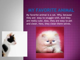My favorite animal is a cat. Why, because
they are easy to snuggle with. And they
are really cute. Also, they are easy to pet
and clean. How, they clean there selves.