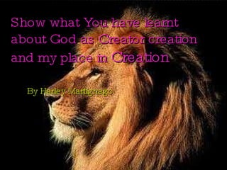 Show what You have learnt about God as Creator creation and my place in  Creation ,[object Object]